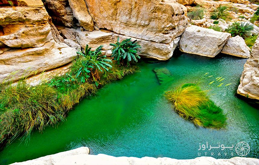 swimming in Wadi Ash Shab